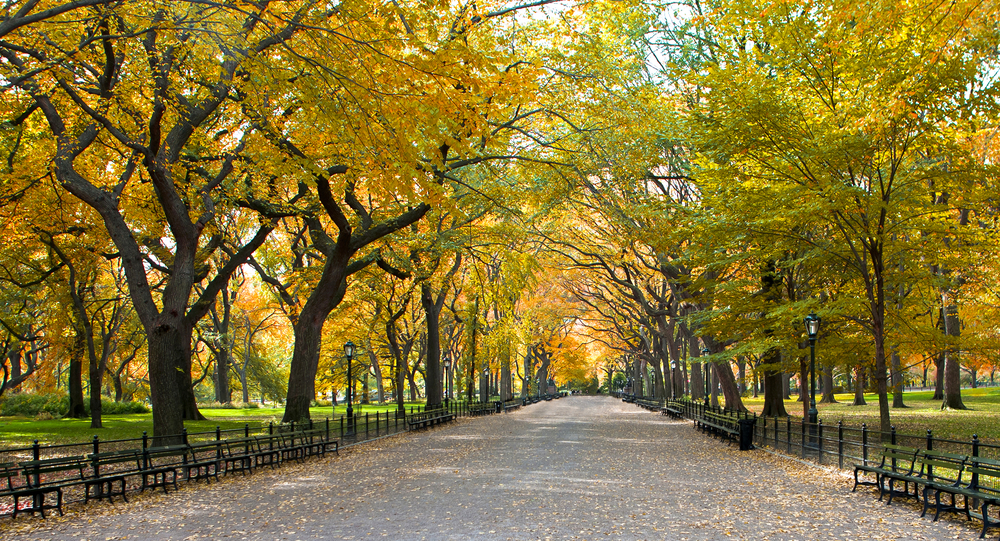 Central Park: Off The Beaten Path Tours that Show You a Whole New Side ...