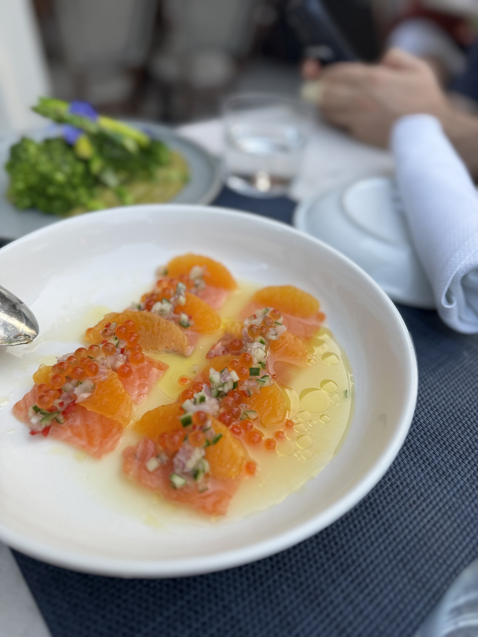 Salmon crudo at Sesamo, Hell's Kitchen NYC